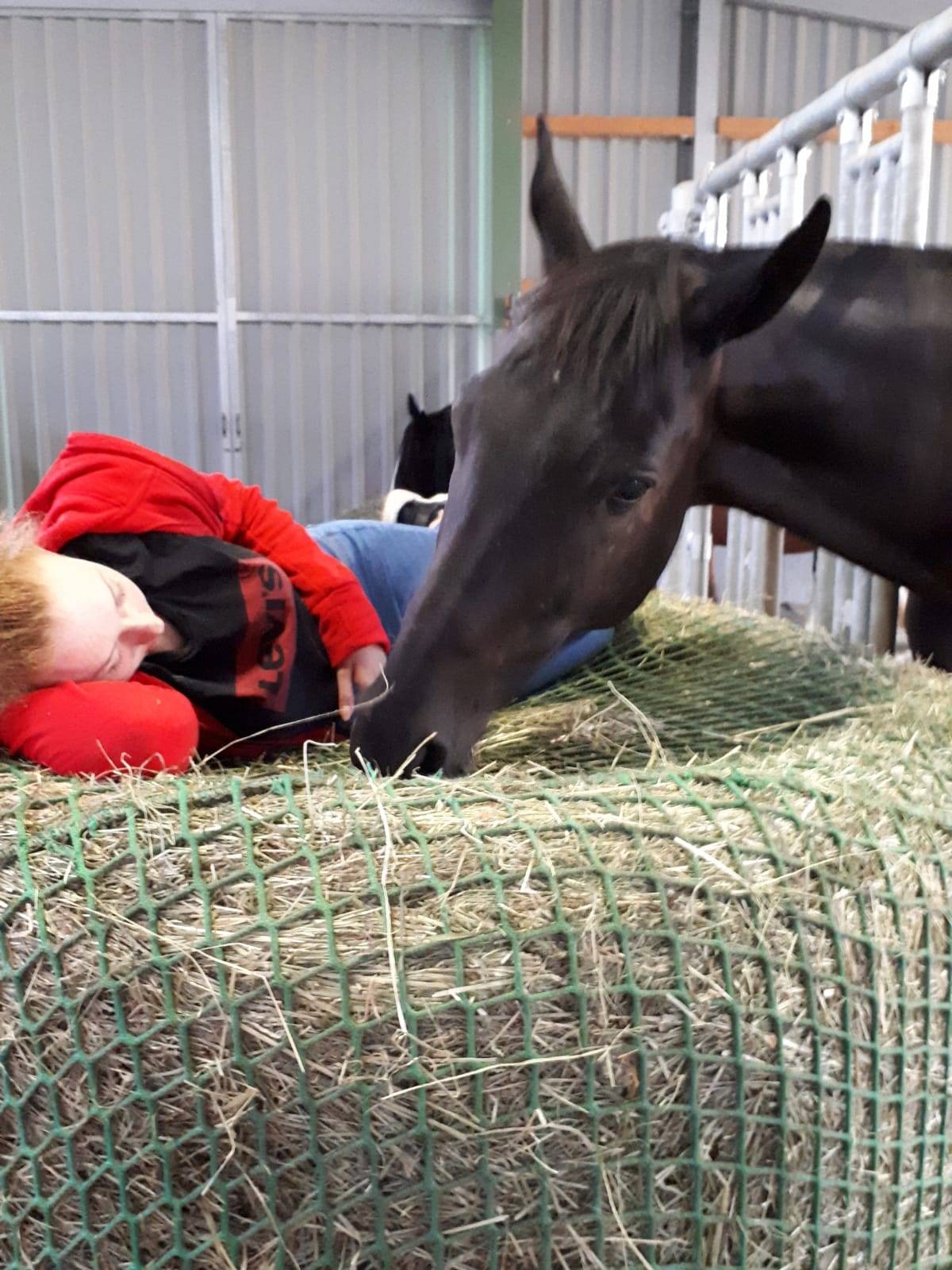 Cara und Cardinal